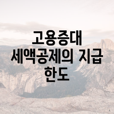 고용증대 세액공제의 지급 한도