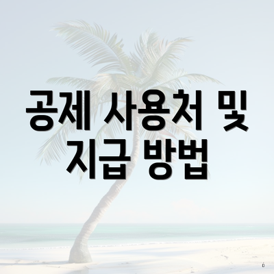 공제 사용처 및 지급 방법