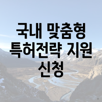 국내 맞춤형 특허전략 지원 신청