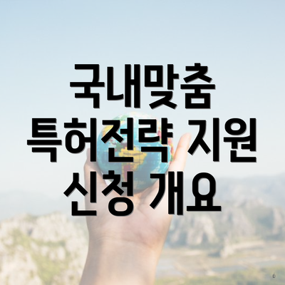 국내맞춤 특허전략 지원 신청 개요