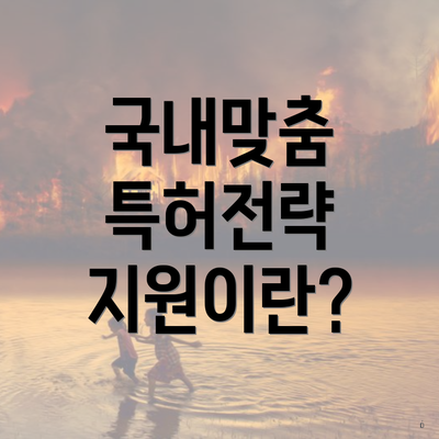 국내맞춤 특허전략 지원이란?