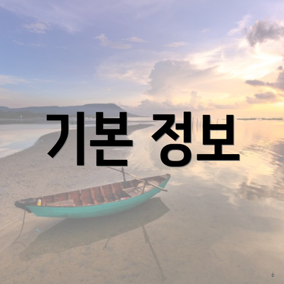 기본 정보