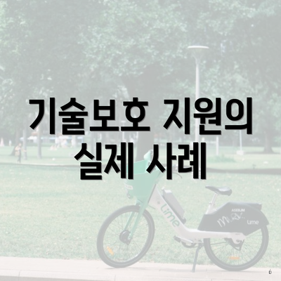 기술보호 지원의 실제 사례