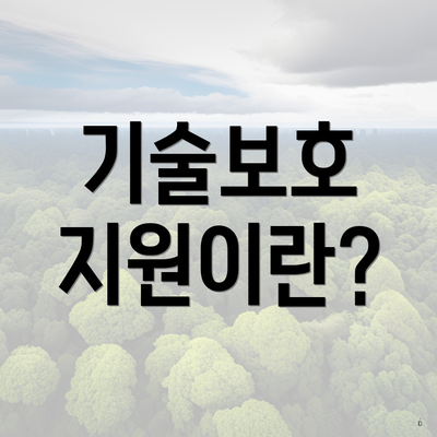 기술보호 지원이란?