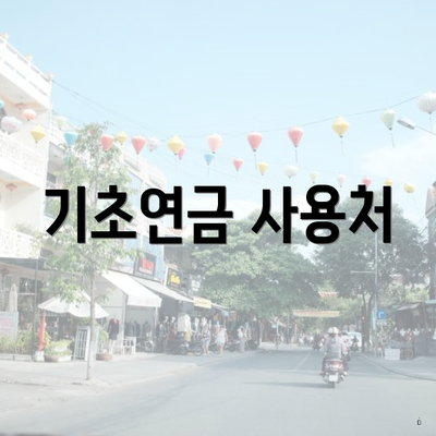 기초연금 사용처