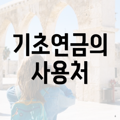 기초연금의 사용처