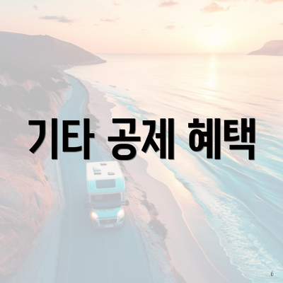 기타 공제 혜택