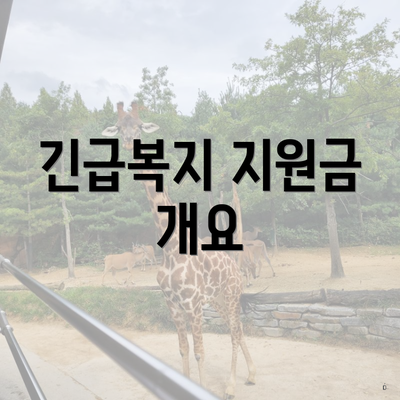 긴급복지 지원금 개요