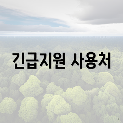 긴급지원 사용처