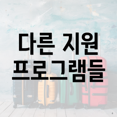 다른 지원 프로그램들