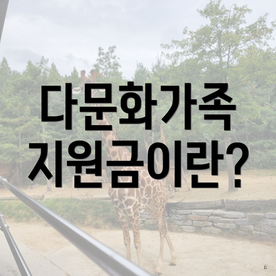 다문화가족 지원금이란?