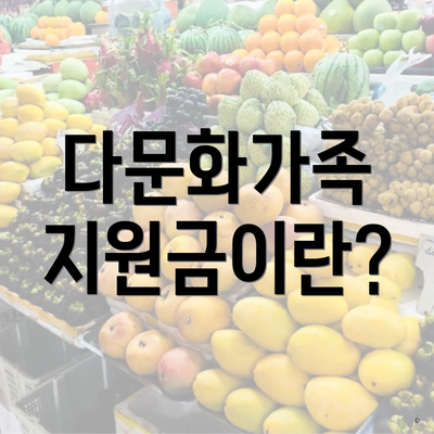 다문화가족 지원금이란?