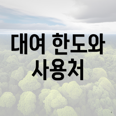 대여 한도와 사용처
