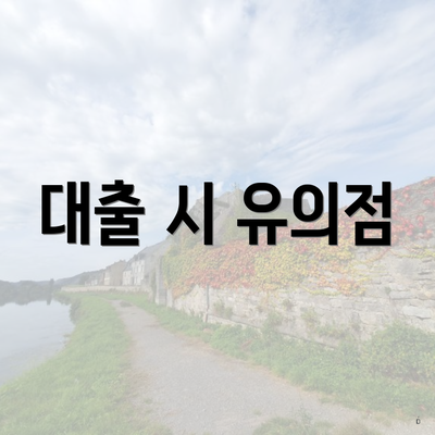 대출 시 유의점