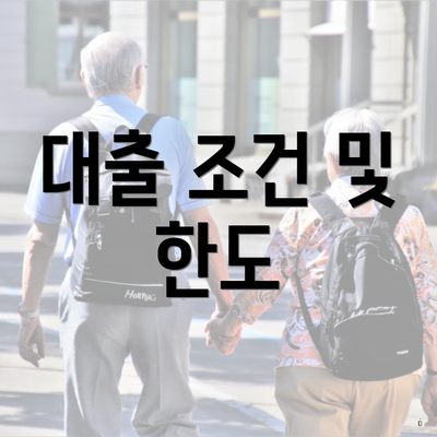 대출 조건 및 한도