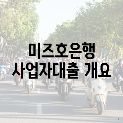 미즈호은행 사업자대출 개요