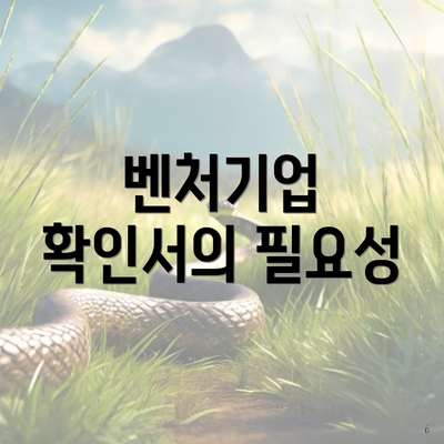 벤처기업 확인서의 필요성