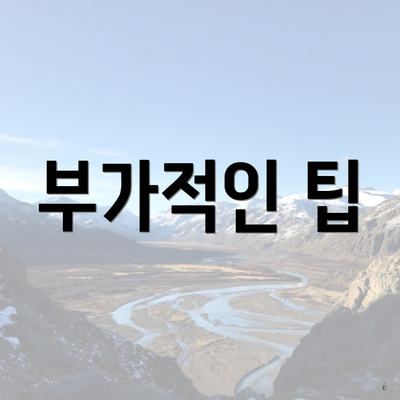 부가적인 팁