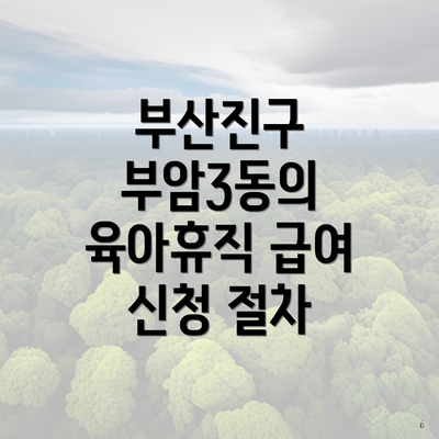 부산진구 부암3동의 육아휴직 급여 신청 절차