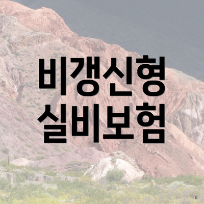 비갱신형 실비보험