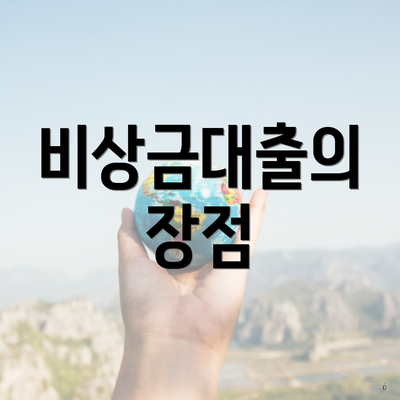 비상금대출의 장점