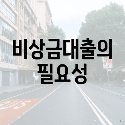 비상금대출의 필요성