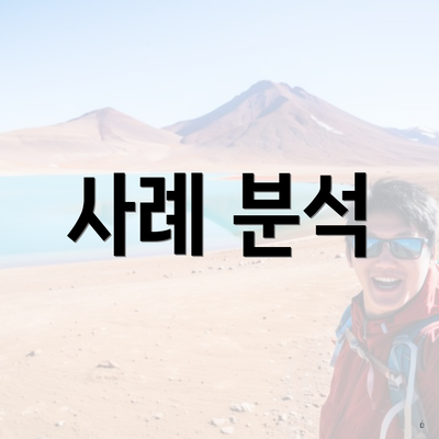 사례 분석