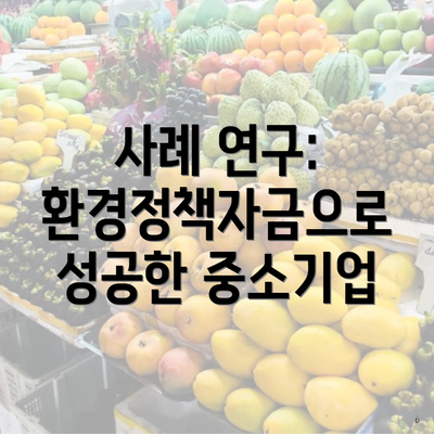 사례 연구: 환경정책자금으로 성공한 중소기업