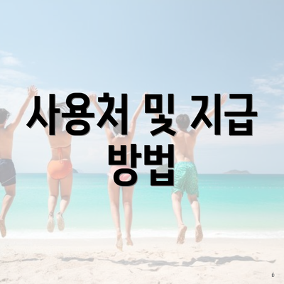 사용처 및 지급 방법