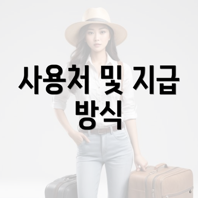 사용처 및 지급 방식