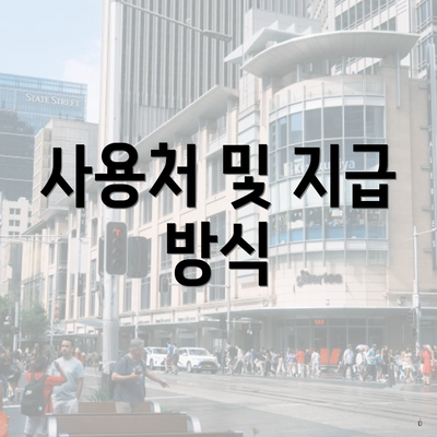 사용처 및 지급 방식