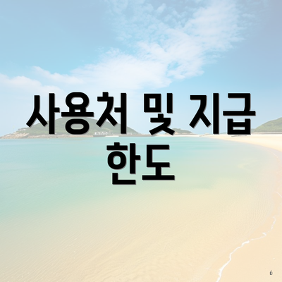 사용처 및 지급 한도