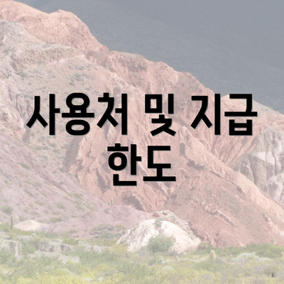 사용처 및 지급 한도