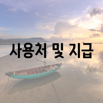 사용처 및 지급