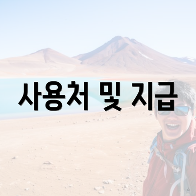 사용처 및 지급