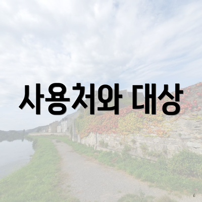 사용처와 대상