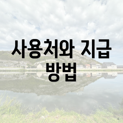 사용처와 지급 방법