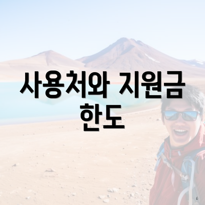 사용처와 지원금 한도