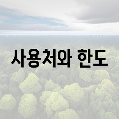 사용처와 한도