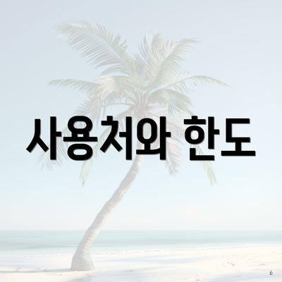사용처와 한도