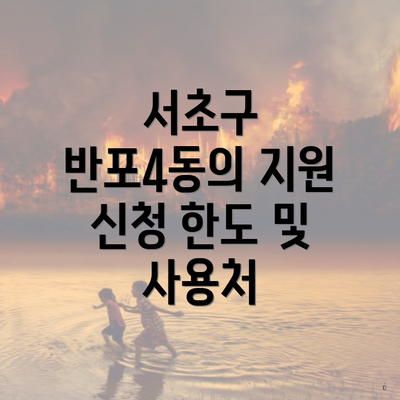 서초구 반포4동의 지원 신청 한도 및 사용처