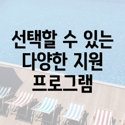 선택할 수 있는 다양한 지원 프로그램