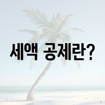 세액 공제란?