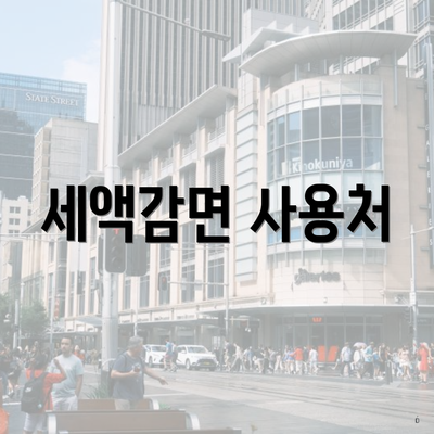 세액감면 사용처