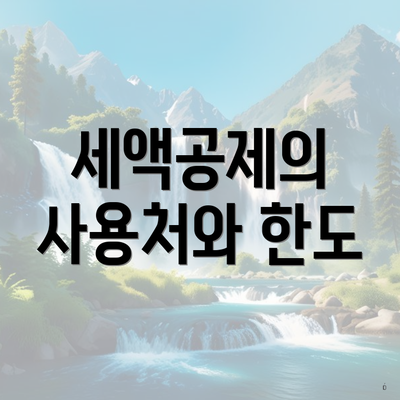 세액공제의 사용처와 한도