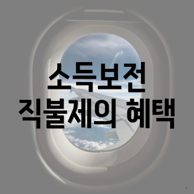 소득보전 직불제의 혜택