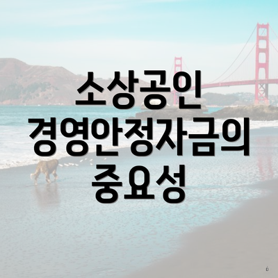 소상공인 경영안정자금의 중요성