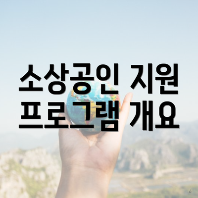 소상공인 지원 프로그램 개요