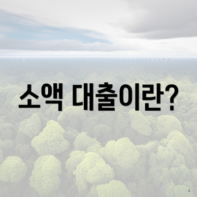 소액 대출이란?