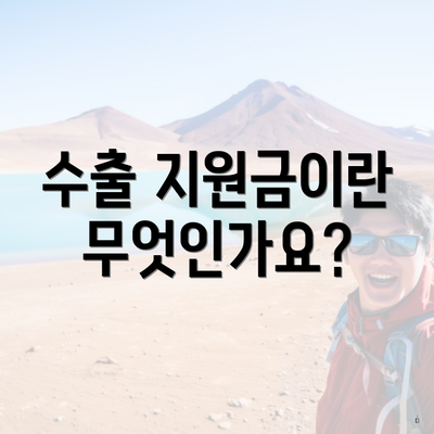 수출 지원금이란 무엇인가요?